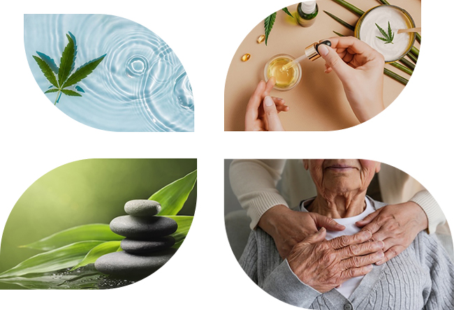Additional Options for holistic health pain relief, including cannabis oils creams and other products and emotional support